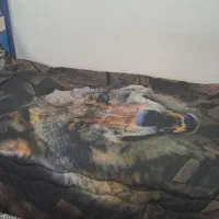 تختواب تک نفره + تشک|تخت و سرویس خواب|چابکسر, |دیوار