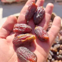 خرما شاوی ، پیارم