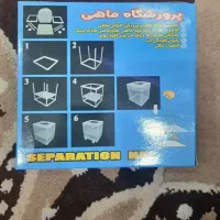 ماهی فایتر .زایشگاه.کشتی
