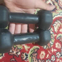 ۲ عدد دنبل ۲ کیلویی|تجهیزات ورزشی|بیلوار, |دیوار