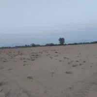 فروش زمین کشاورزی بیست هکتار|فروش دفتر صنعتی، کشاورزی، تجاری|بندرعباس, |دیوار