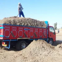 کاه نیشکر (باگاس)ملاس