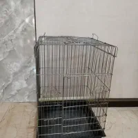 قفس عروس هلندی