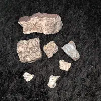 فسیل ،سنگ|کلکسیون اشیاء عتیقه|اندیشه, اندیشه فاز ۴|دیوار