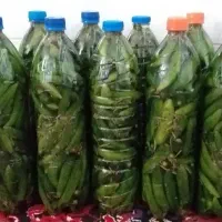 محصولات خانگی من|خوردنی و آشامیدنی|شیراز, شهرک بزین|دیوار