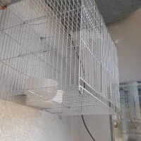 فروش قفس پرنده