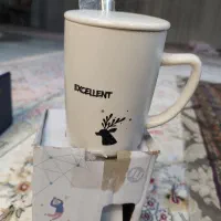 ظروف پذیرایی