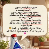 شوینده همه کاره چندمنظوره بودیت بی نظیره