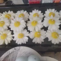 شمع های زیبا|صنایع دستی و سایر لوازم تزئینی|آباده, |دیوار