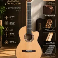 باقیمت گیتار ایرانی گیتار خارجی بخرید.