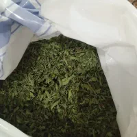 وسایل منزل|ظروف سرو و پذیرایی|مشهد, توس (بلوار توس)|دیوار