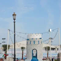 اسب|اسب و تجهیزات اسبسواری|میناب, |دیوار