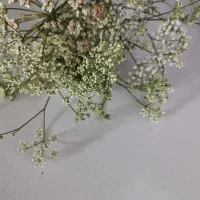 روانشناس معرفی کنید