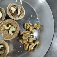 گردوی محلی|خوردنی و آشامیدنی|تهران, گمرک|دیوار