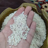 برنج درشت لاشه و نیم دانه هاشمی مستقیم از کشاورز|خوردنی و آشامیدنی|سنگر, |دیوار