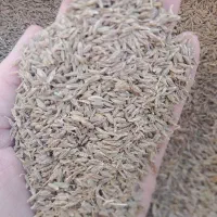 زیره امسالی به صورت کلی به فروش می‌رسد