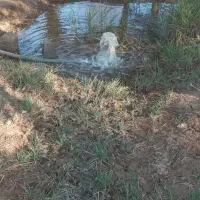 زمین کشاورزی مسکونی