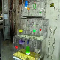 قفس بازاری مناسب انواع پرنده با وسایل کامل