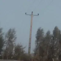 سیم بان