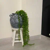 گلدان پتینه ۵۰۰