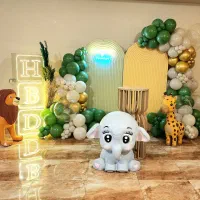 گل آرایی بادکنک آرایی اجاره دکورکرج سهیلیه چهارباغ|خدمات پذیرایی، مراسم|کرج, بنیاد|دیوار