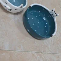 ظروف سرو و پذیرایی