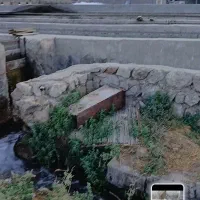 ماهی قزل الا شهرکرد (سوسن سرخاب)