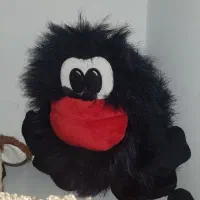 عروسک|اسباببازی بچه|پردیس, فاز ۱۱|دیوار