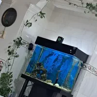 فروش اکواریوم.متن را بخونید