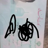 پیدا شده