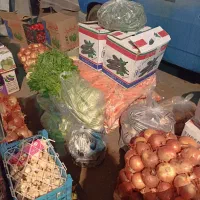 کارگر میدان میوه تره بار مرکزی تهران|استخدام خدمات فروشگاه و رستوران|تهران, میدان میوه و ترهبار مرکزی|دیوار