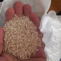 برنج عنبر بو