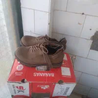 کتانی وکفش مجلسی|کیف، کفش، کمربند|شیروان (خراسان), |دیوار