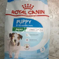 غذای خشک سگ