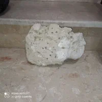 سنگ اکواریوم|ماهی|تهران, افسریه شمالی|دیوار