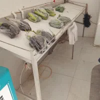 میز میوه فروشی