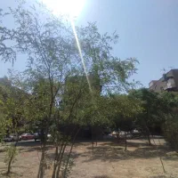 شهرک سجادیه۶۴متر کیانشهر مترو بعثت هفده شهریور|فروش آپارتمان|تهران, مطهری|دیوار