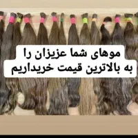 مرکز اکستنشن فروش خرید موی طبیعی خریدار بی‌واسطه