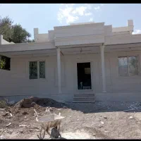 سیمانکاری وتیغه چینی|خدمات پیشه و مهارت|قیدار, |دیوار