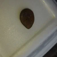 سنگ|جواهرات|خرمآباد, |دیوار