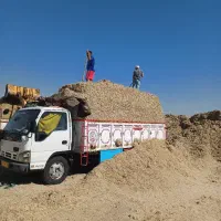 کاه نیشکر ر مقویتر بصرفه تر از کاه گندم|حیوانات مزرعه|فردیس, منظریه|دیوار