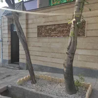 اجاره ویلای .۲۰۰ متری ۱ خوابه ۱ ونیم طبقه