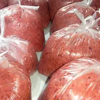 غذای سگ و گربه