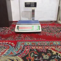 ترازو دیجیتال ۵۰کیلوی درحدنو|فروشگاه و مغازه|همدان, |دیوار