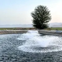 فروش فوری زمین کشاورزی