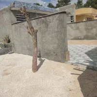 منزل دربست و اجاره ای|اجارهٔ کوتاهمدت ویلا و باغ|مرودشت, کناره|دیوار