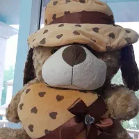 عروسک کاملا نو