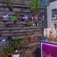 استاد کارو بنایی