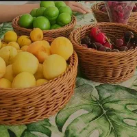 سبدای دست بافت بسیار زیبا|صنایع دستی و سایر لوازم تزئینی|نیشابور, مازول|دیوار