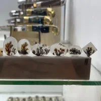 بارخونه شجر قائن|جواهرات|زنجان, |دیوار